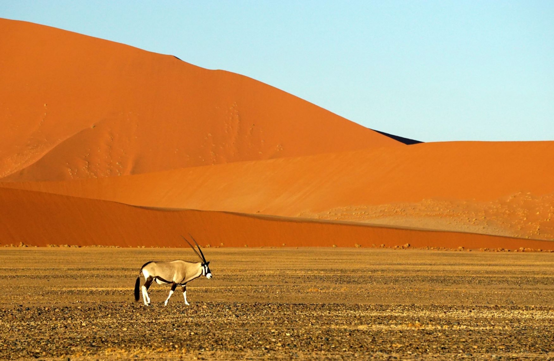 PAISAJES DE NAMIBIA [EXODE 2025]