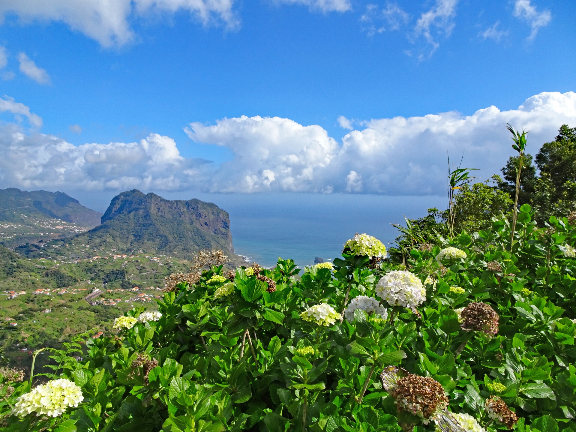 En bicicleta por Madeira [ BIKE 2024]