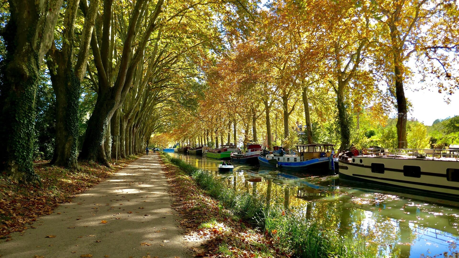 Canal du midi: De Toulouse a Sète [BIKE 2024]