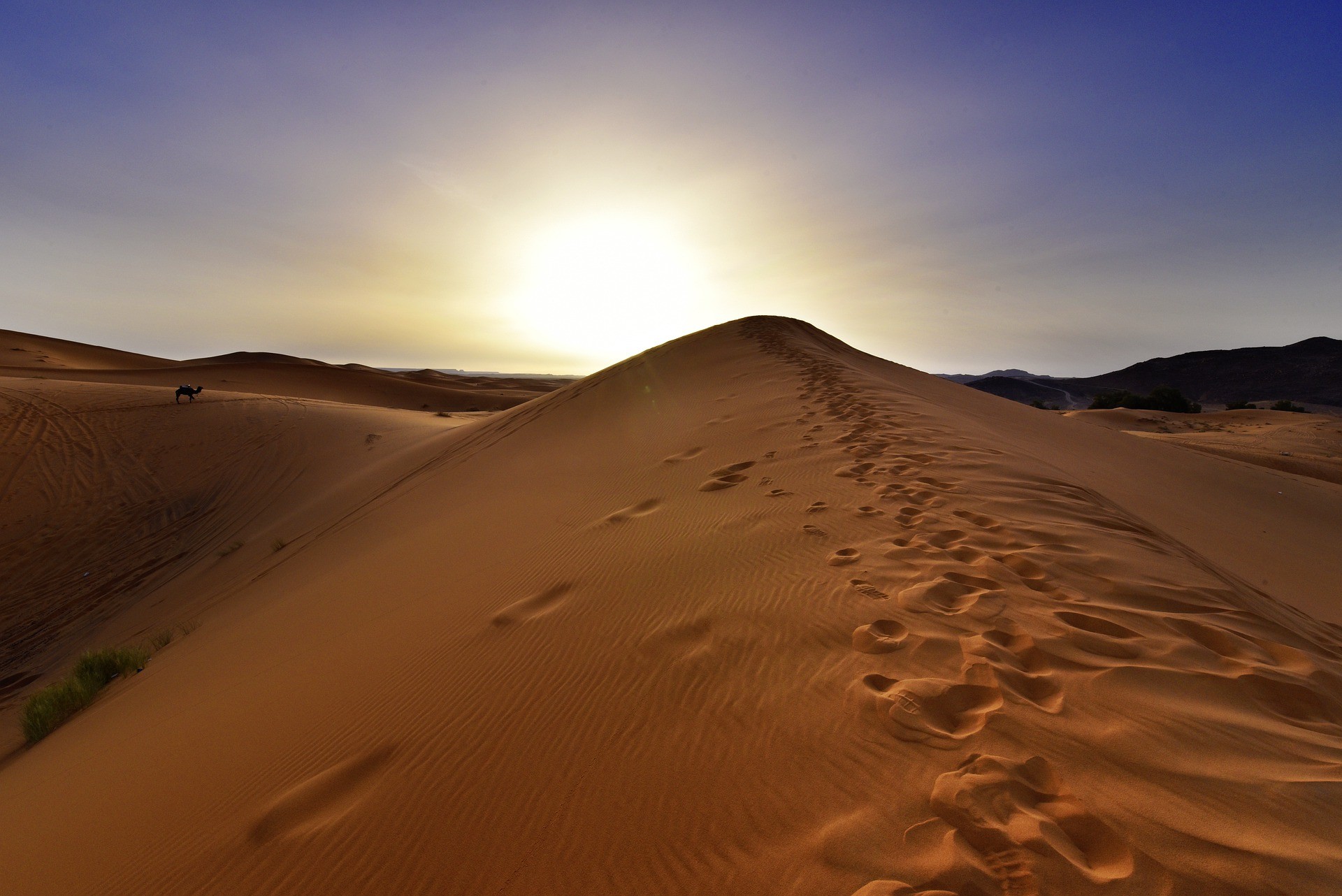 Escapada Marrakech y dunas del desierto [EXODE 2025]