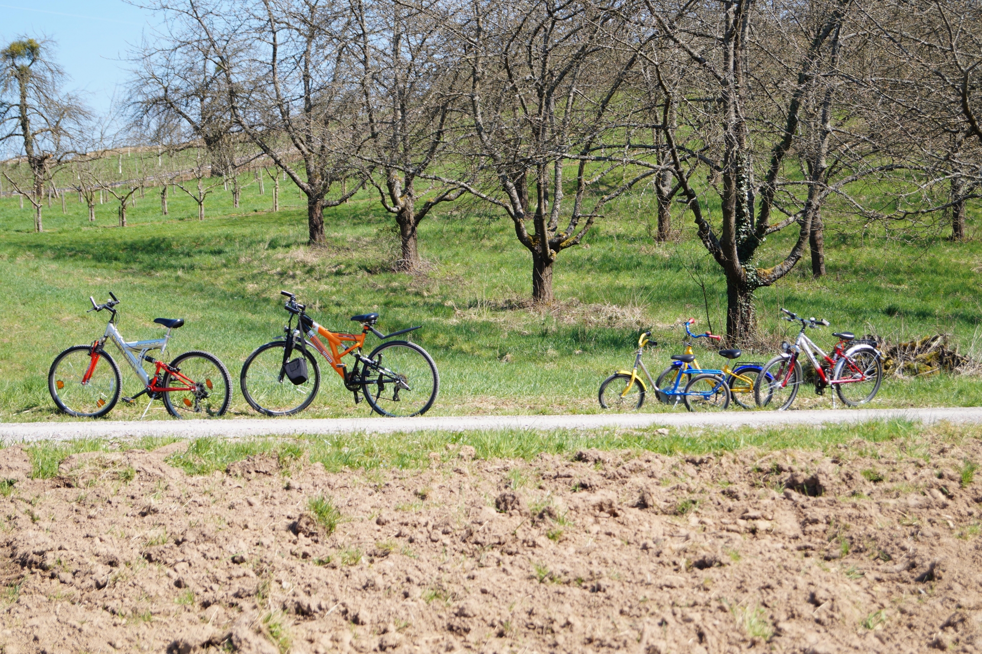 En Familia en Flandes [BIKE 2025]