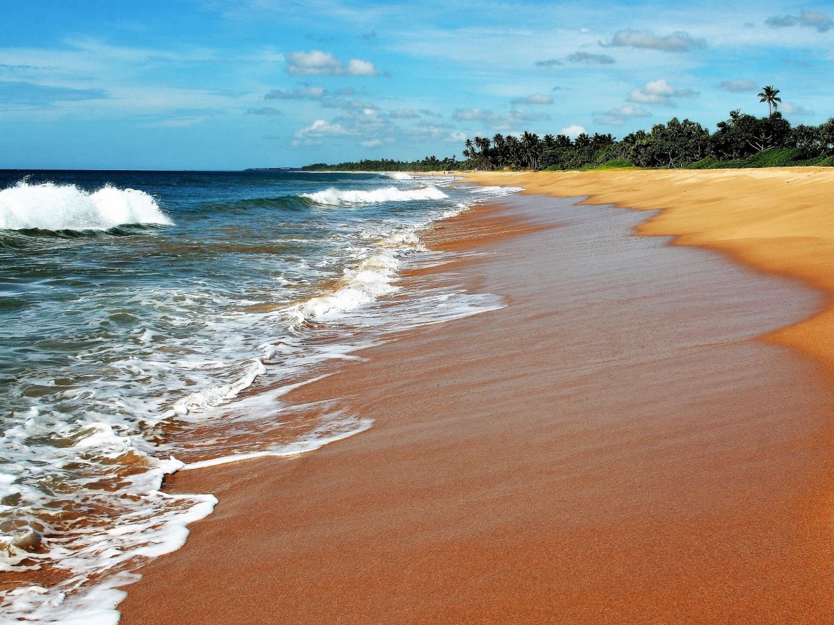 Ayubowan Sri Lanka [EXODE 2024]