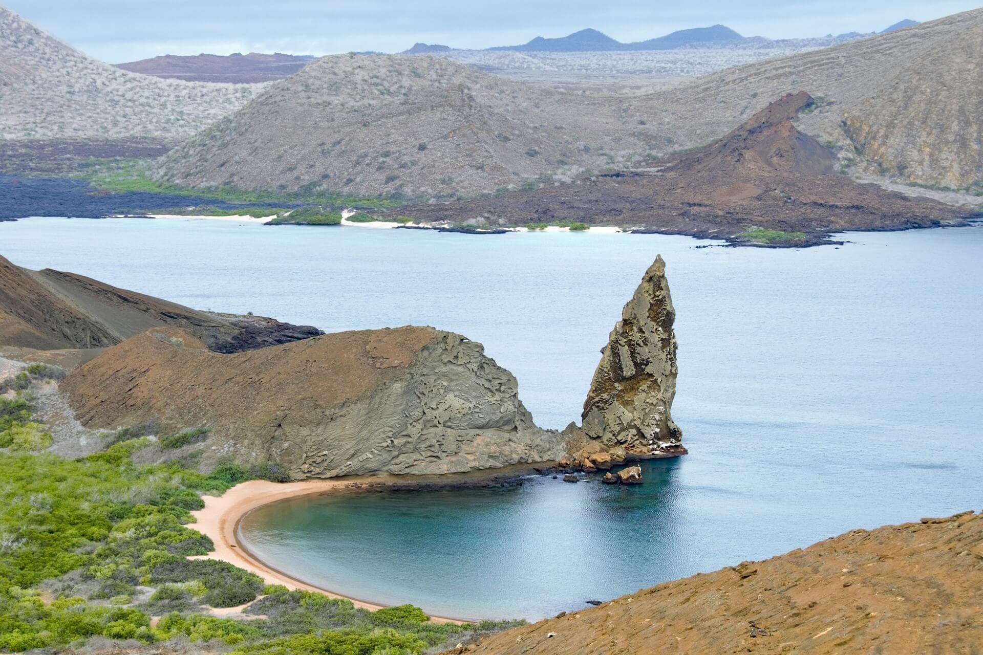 Cordillera Andina Amazonia y/o Galápagos [EXODE 2025]